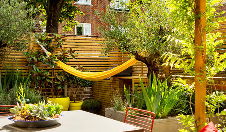 7 Ways to Lounge in Your Garden