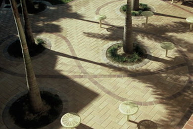 Moderner Garten mit direkter Sonneneinstrahlung in Brisbane