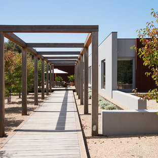 Photo of a contemporary partial sun garden in Melbourne with decking.