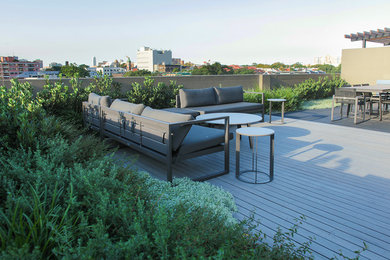 Idee per un giardino minimalista esposto in pieno sole sul tetto e di medie dimensioni con pacciame
