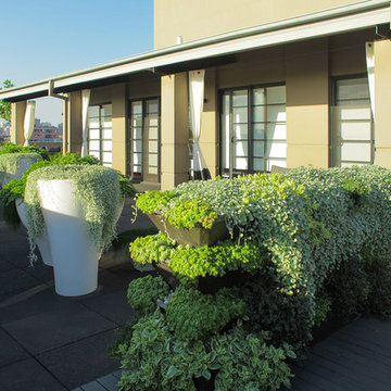 Redfern Green roof