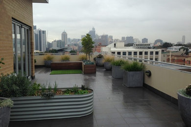 Immagine di un grande orto in giardino minimalista esposto in pieno sole sul tetto con pavimentazioni in cemento