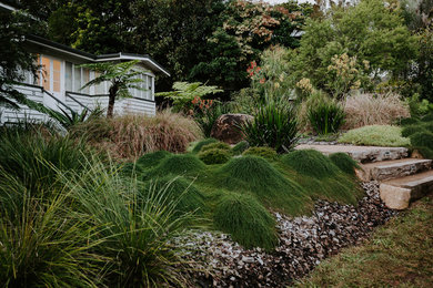 サンシャインコーストにあるお手頃価格の中くらいなコンテンポラリースタイルのおしゃれな前庭 (ゼリスケープ、庭への小道、日向、砂利舗装) の写真