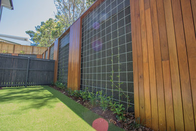 This is an example of a small contemporary back partial sun garden in Brisbane with a living wall.