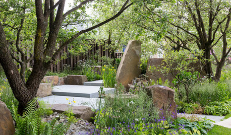 16 Ideas for Rockeries From UK and US Gardens
