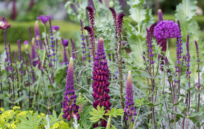 How to Create a Wildlife-friendly Garden in Spring