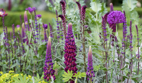 How to Create a Wildlife-friendly Garden in Spring