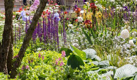 A ‘Medieval Contemporary’ Garden Takes the Silver at Chelsea