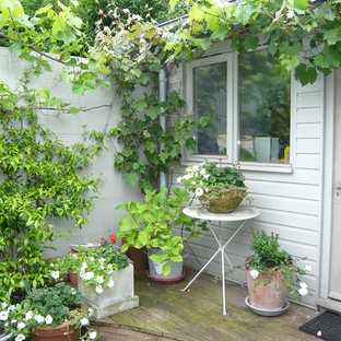 Immagine di un piccolo giardino formale chic dietro casa con un giardino in vaso e pedane
