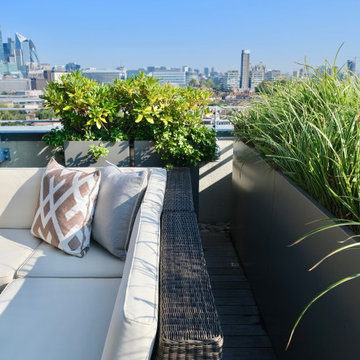 ROOF TERRACE, CENTRAL LONDON