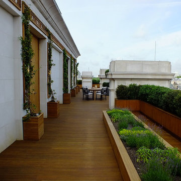 Roof top terrace Garden Design in Westminster