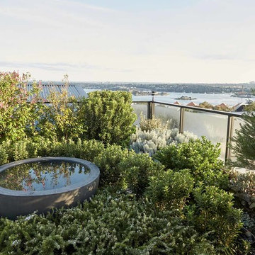 Rozelle — Water feature