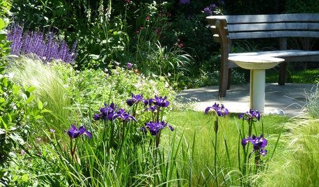 12 Ways to Create a Wildlife Haven in a Small Garden