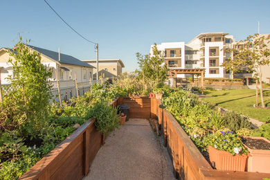 Mittelgroßer Uriger Gemüsegarten hinter dem Haus mit direkter Sonneneinstrahlung in Brisbane