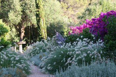 Foto de camino de jardín mediterráneo de tamaño medio en verano en patio trasero con exposición total al sol y gravilla