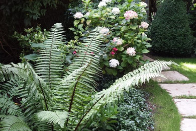 Klassischer Garten in Dublin