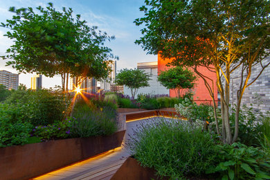 Photo of a small contemporary rooftop landscaping in London.