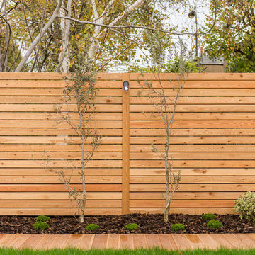 Siberian Larch Fencing #1