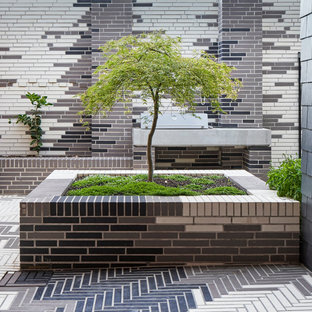 This is an example of a contemporary garden in Melbourne.