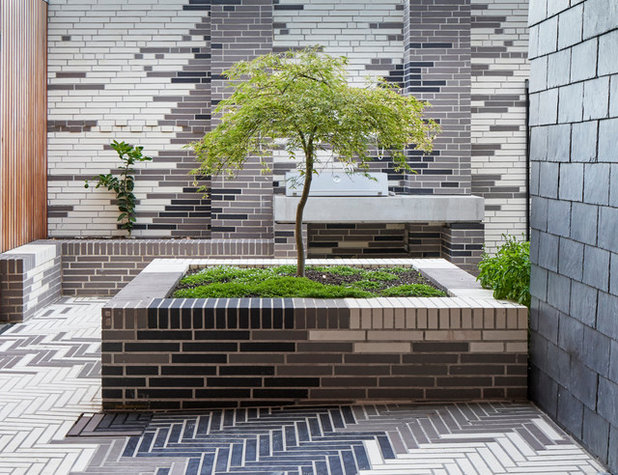 Contemporary Garden by Melbourne Design Studios (MDS)
