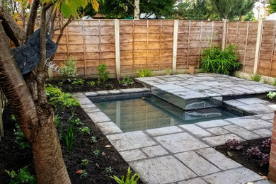 Design ideas for a small contemporary back partial sun garden in Manchester with concrete paving.