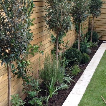 Small contemporary back garden, Twickenham