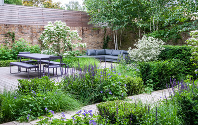 Yard of the Week: Entry Garden With Leafy Screening Solutions