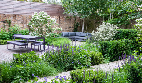 Yard of the Week: Entry Garden With Leafy Screening Solutions