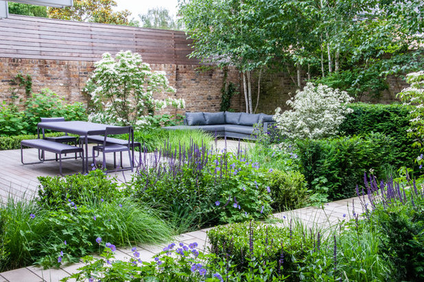 Contemporary Garden by Hamilton Cody Garden Design