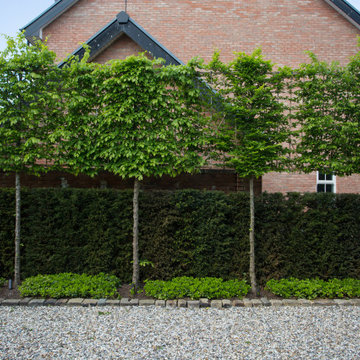 Small Courtyard in the Suburbs by Barnes Walker Landscape Architects