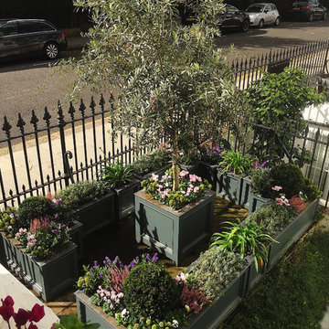 Small Front Gardens