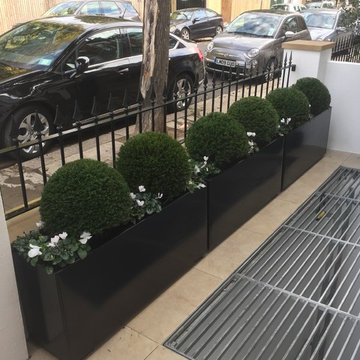 Small Front Gardens
