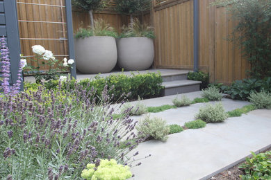 Design ideas for a small classic back formal full sun garden for summer in Surrey with a garden path and natural stone paving.