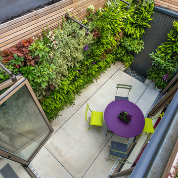 Small outdoor room with a green wall in Kensington