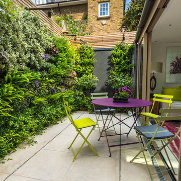 Small outdoor room with a green wall in Kensington