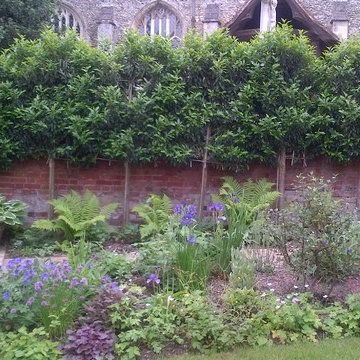 Small overlooked garden with pleached trees