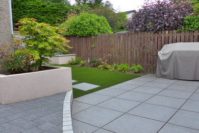 Small contemporary back formal fully shaded garden in Other with a retaining wall and concrete paving.