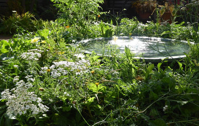 14 Water Feature Ideas for Small Gardens