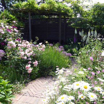 Small town garden no lawn