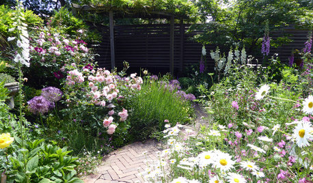 10 Common Garden Design Mistakes and How to Avoid Them