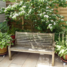 How to Create Shade in a Small Garden