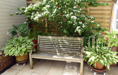 How to Create Shade in a Small Garden