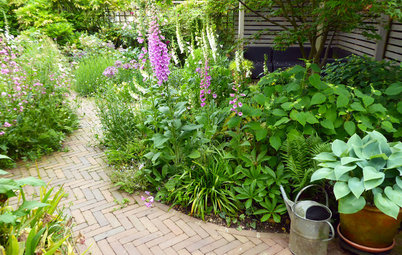 6 Ways to Elegantly Link Different Areas of Your Garden