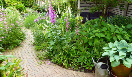 6 Ways to Elegantly Link Different Areas of Your Garden