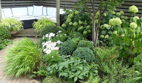 Pro Panel: 8 Easy Tips for Novice Gardeners