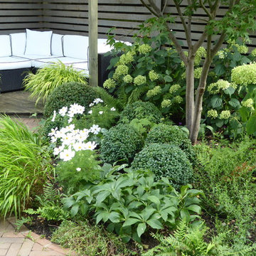 Small town garden no lawn