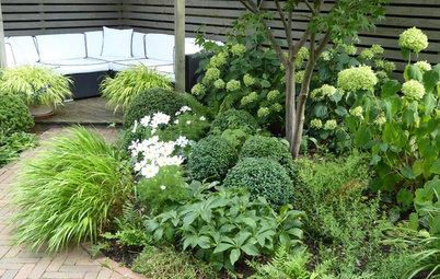  10 ways to make your small garden feel bigger
