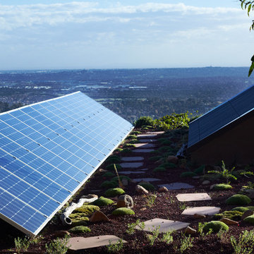 Solar Panel Roof Garden