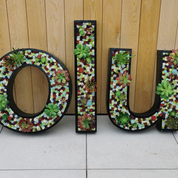 Solus UK Showroom