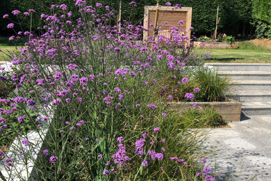 Photo of a contemporary garden in Kent.
